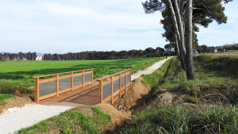 Uno scorcio del primo tratto della ciclovia tra Populonia Stazione e il parcheggio delle Caldanelle (foto PaBar)