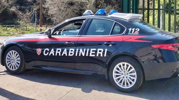 Firenze, va in un bosco per sopprimere il suo cane e ferisce l’amico