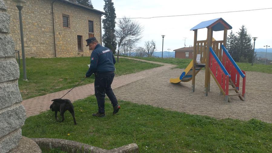 Serramazzoni. Nucleo cinofilo antiveleno dei carabinieri in azione a San Dalmazio dopo la morte di un cane per avvelenamento