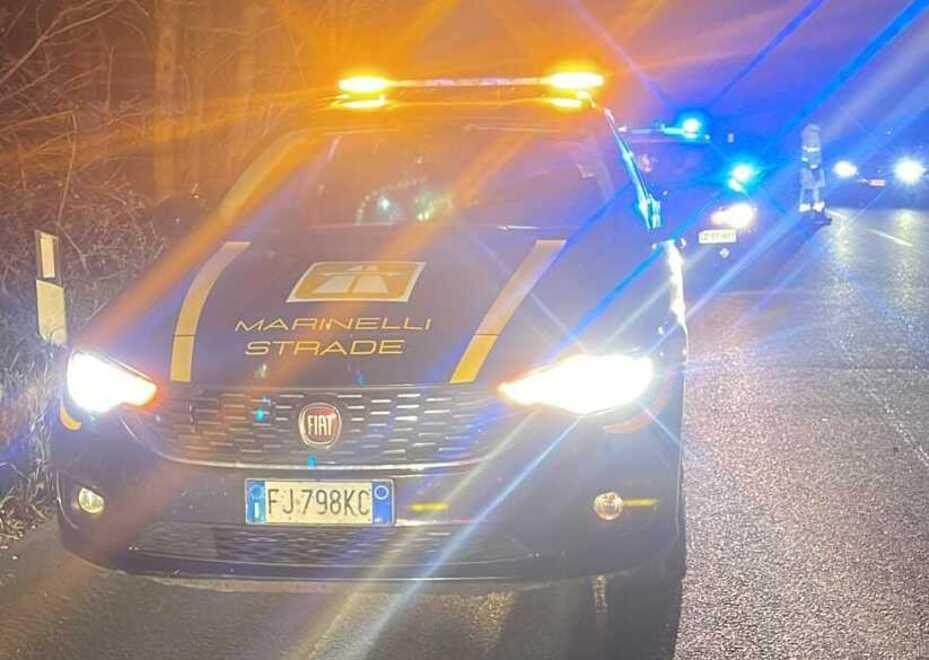 Daino contro un’auto sulla Romea. Il mezzo distrutto, nessun ferito