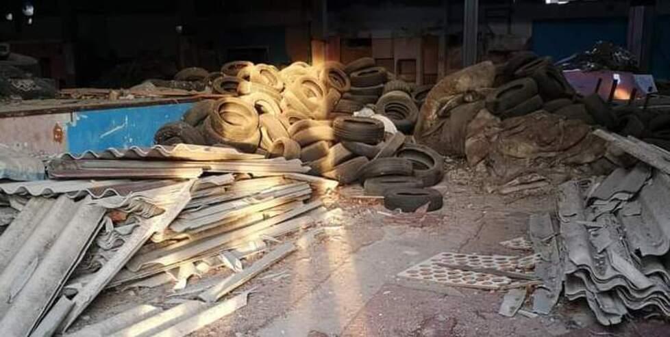 Piumazzo, il sindaco Gargano «Kiwi, farò un’ispezione» 