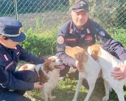 I carabinieri di Venturina Terme e i candi salvati
