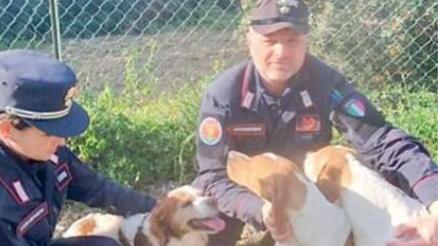 I carabinieri di Venturina Terme e i candi salvati