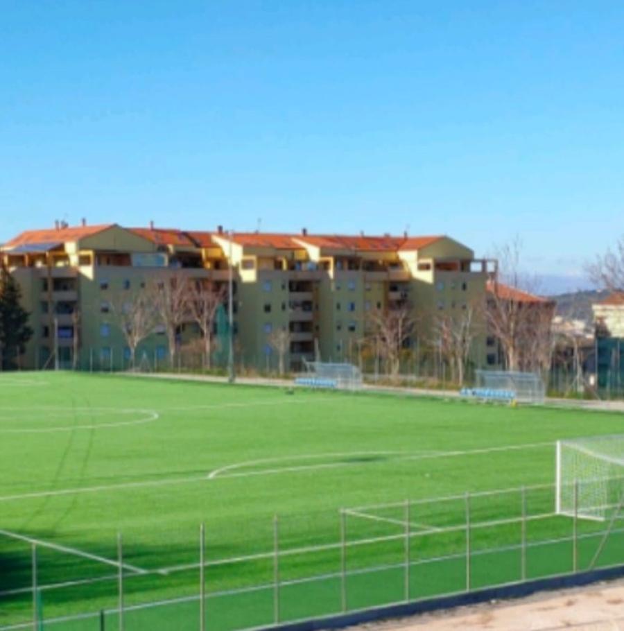 Sassari, insulti e schiaffi di un allenatore all’altro, scontro con alcuni genitori: arriva la polizia, partita sospesa