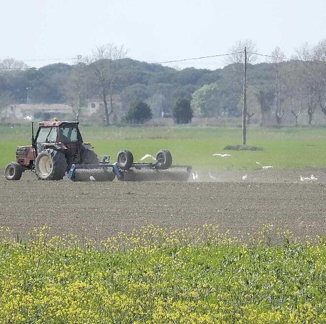 Pisa, il “No” di Coltano all’inserimento nel Parco di San Rossore: i motivi della protesta dei residenti