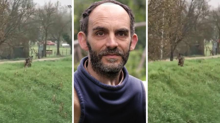 Casale e Paperino: si moltiplicano gli avvistamenti di lupi in zona – Video