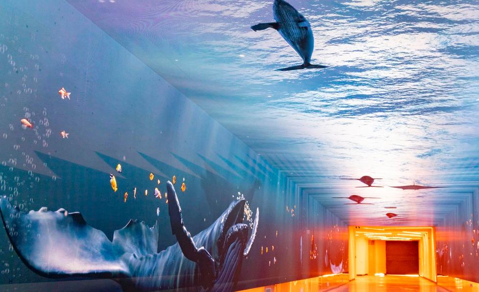 Firenze, a Santa Maria Novella il sottopasso si trasforma in un viaggio nell'oceano - Video