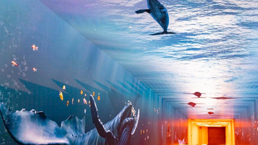 Firenze, a Santa Maria Novella il sottopasso si trasforma in un viaggio nell'oceano - Video