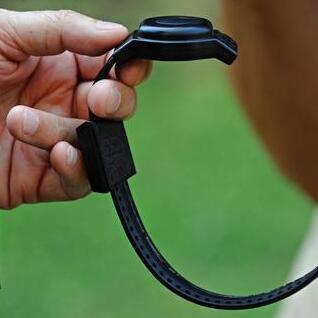 Concordia Un braccialetto elettronico trovato accanto a un canale 