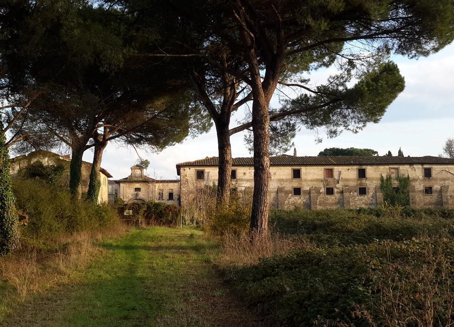 Prato, avvistati lupi che sbranavano una capra nei campi