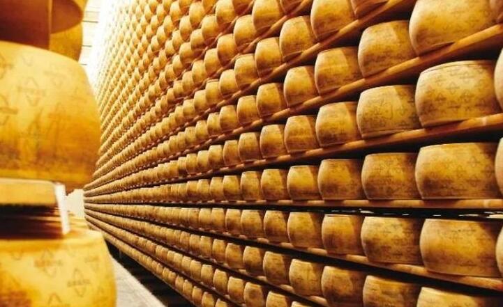 Polemica Italia-Usa sulle origini del re dei formaggi: «Il vero Parmigiano Reggiano è il nostro, commercializzato fin dal 1200»