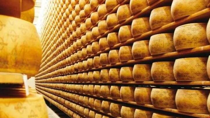 Polemica Italia-Usa sulle origini del re dei formaggi: «Il vero Parmigiano Reggiano è il nostro, commercializzato fin dal 1200»