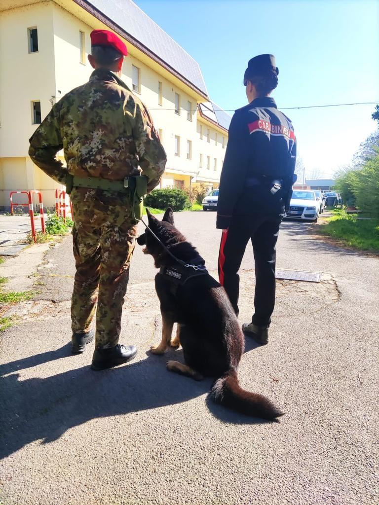 
	Un momento dell'ispezione nelle scuole

