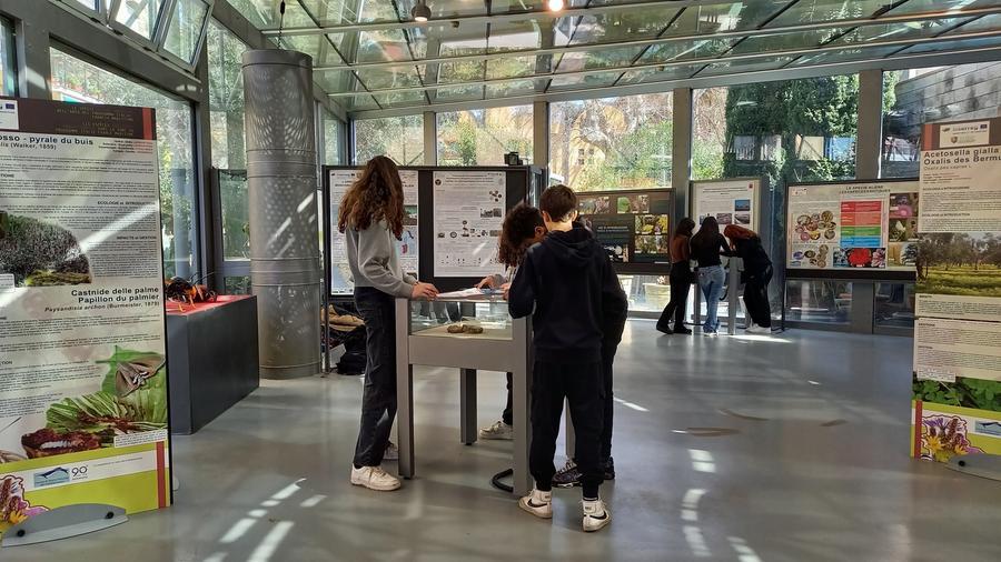 
	Il Museo di storia naturale e del Mediterraneo&nbsp;

