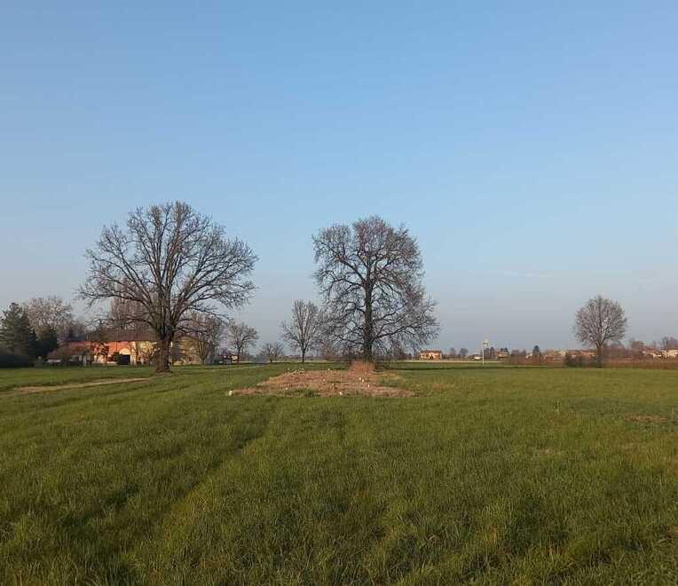 Sorgerà sul terreno di Bertani il “Bosco di paese” dei volontari