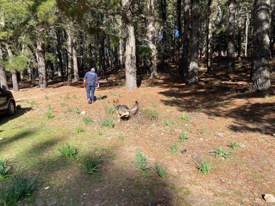 Cani molecolari da Bologna ad Arzana per cercare lo scomparso Sandro Arzu