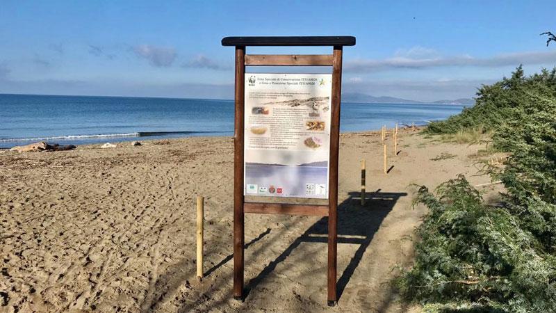 Orbetello, i vandali della duna: spariti paletti e corde dalla spiaggia della Giannella