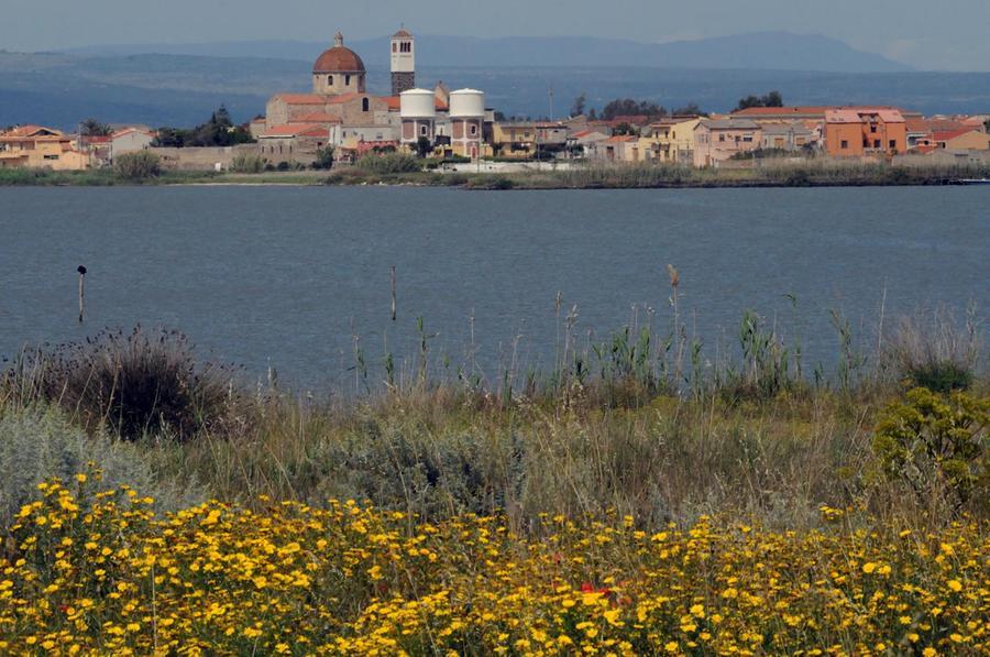 
	Una veduta di Cabras

