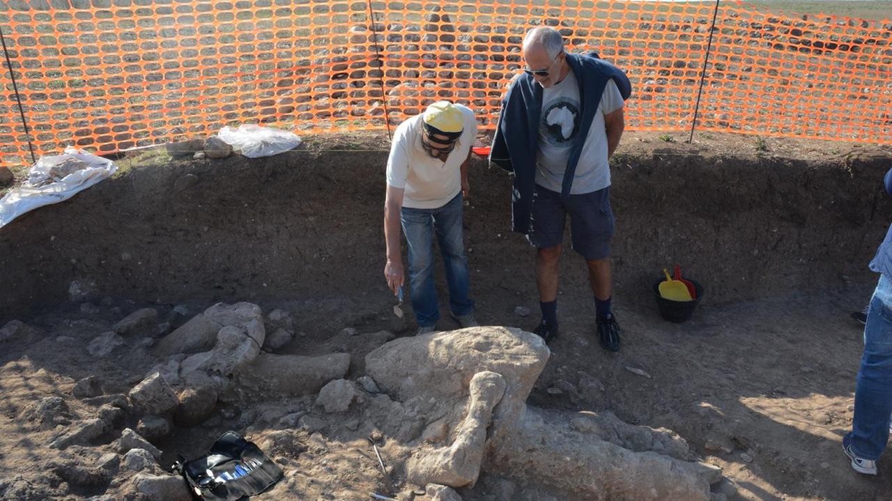 I nuovi Giganti una folgorazione: svelano alcuni misteri