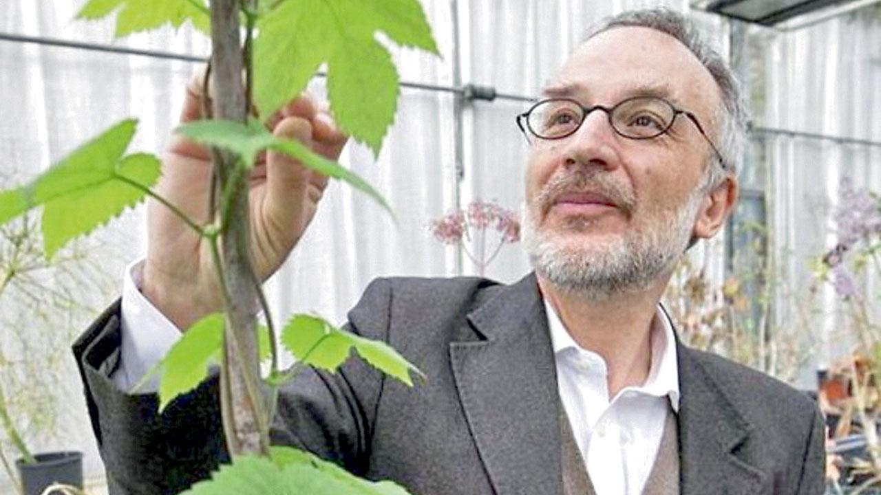 Stefano Mancuso, al confine tra scienza e teatro: «In natura i confini non esistono. Solo noi, ostinati, non lo accettiamo»