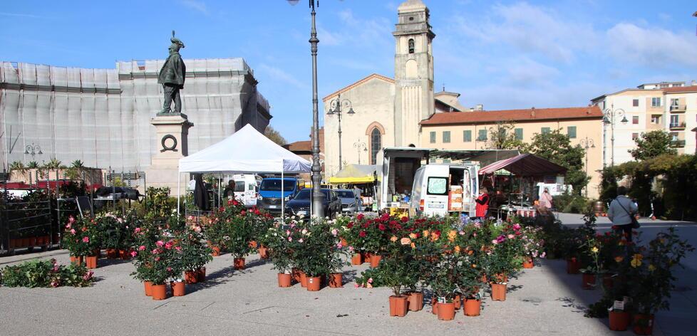 Piante, fiori, artigianato, enogastronomia torna Verde Pisa nel weekend pasquale