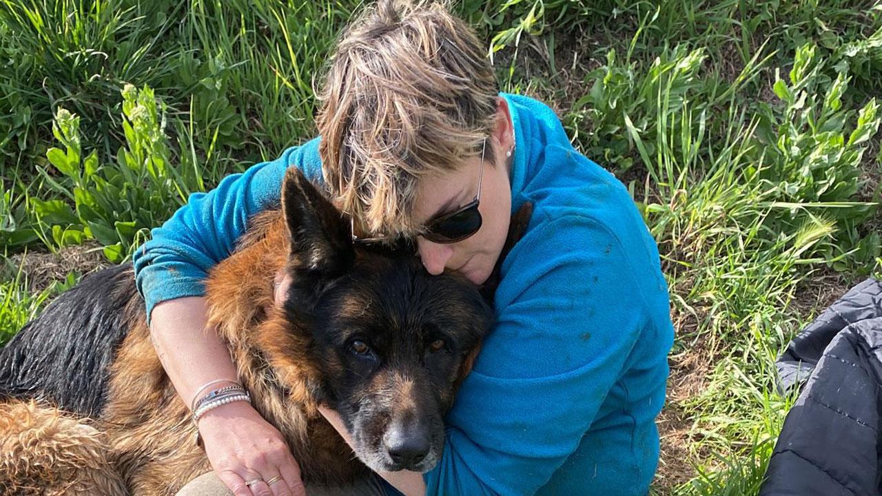 Giorni di terrore poi finalmente la gioia: il cane Santo ritrovato nel Cornia