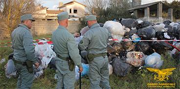 
	Gli agenti del Corpo Forestale davanti ai rifiuti

