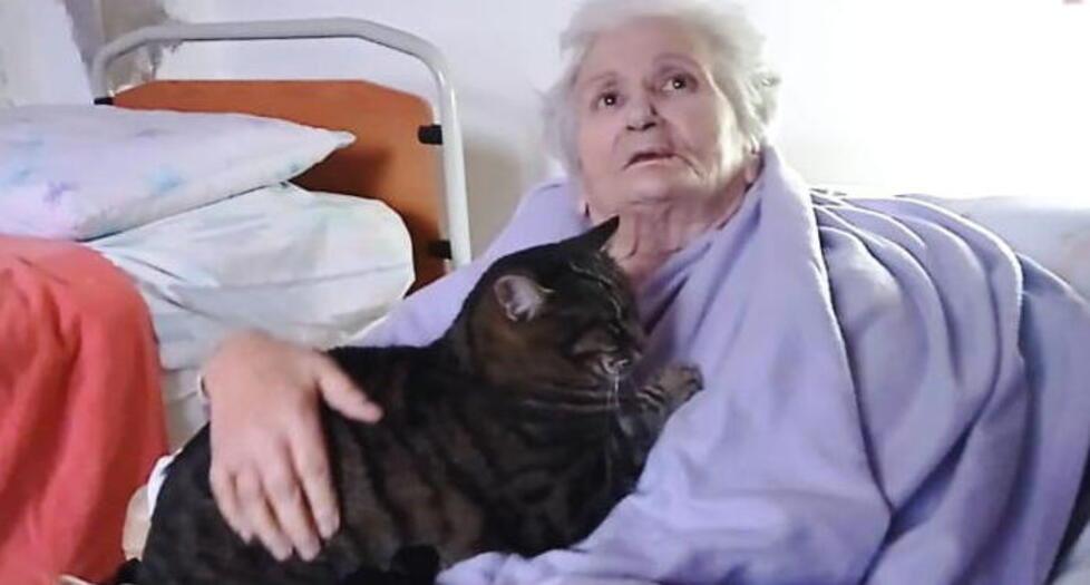 Dora Piarulli ha vinto la battaglia, il giudice dice sì al suo ritorno a casa: «La sua volontà è chiara»