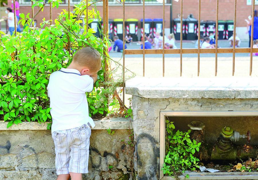 Docenti di sostegno, boom di corsi on line: la scorciatoia per avere l’abilitazione