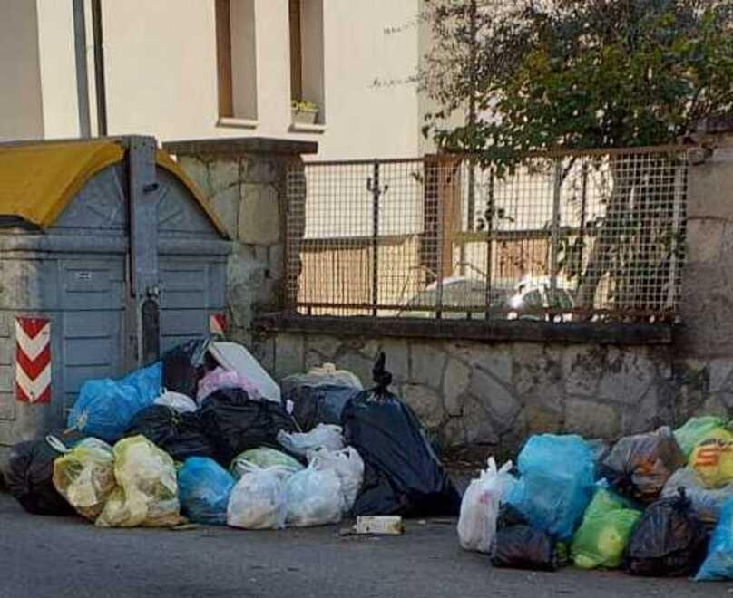 Modena Calcinacci nel cassonetto Per via Pelusia serve la gru 