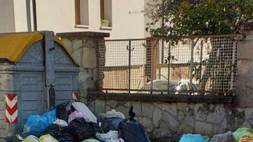 Modena Calcinacci nel cassonetto Per via Pelusia serve la gru