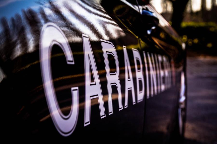 Canile lager nella campagna di Ittireddu: denunciato il proprietario di un’azienda agricola