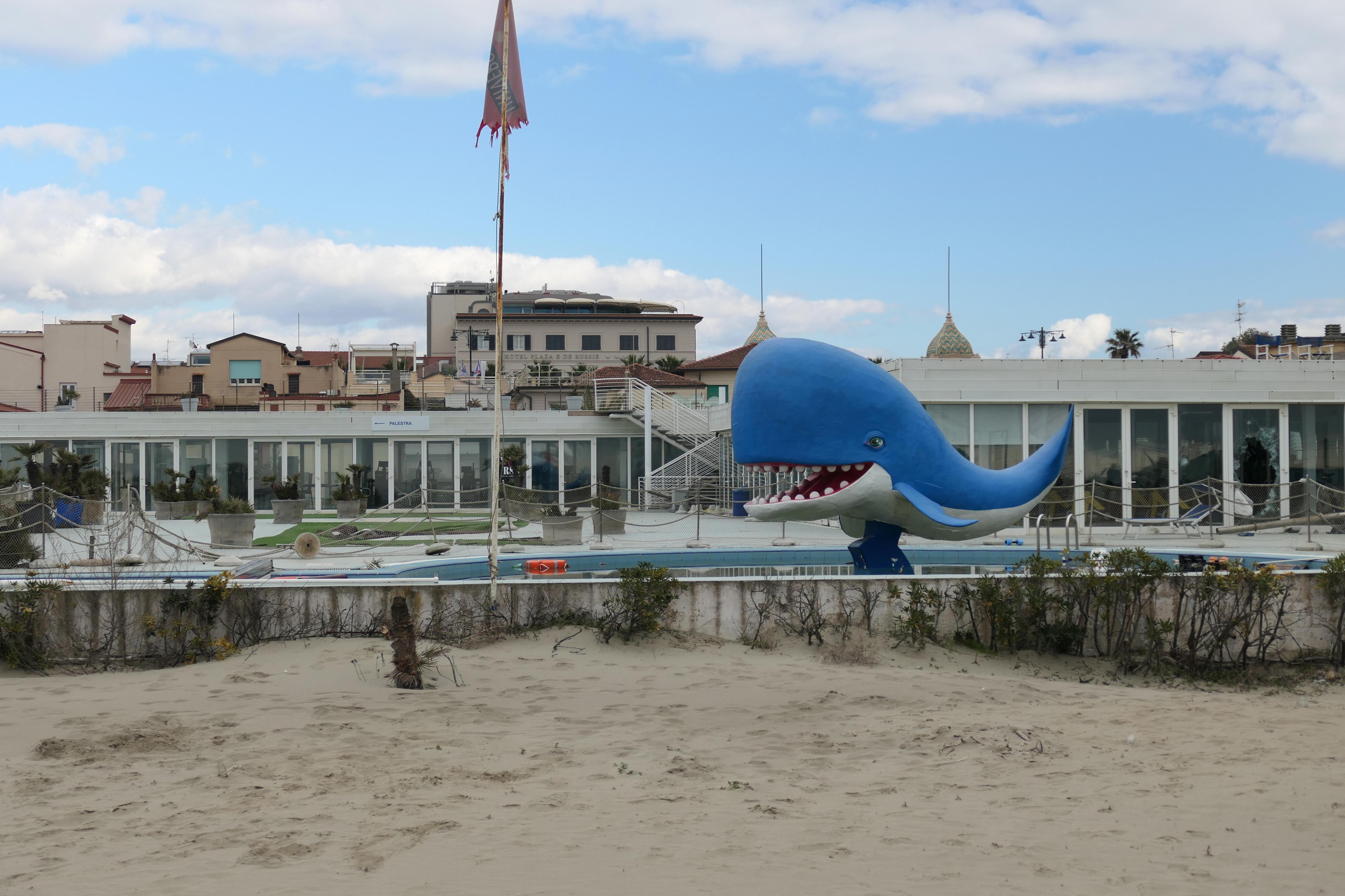 Viareggio, il bagno Balena riapre con una sola piscina, il ristorante ma non la palestra: nuova gestione dopo la vendita all’asta