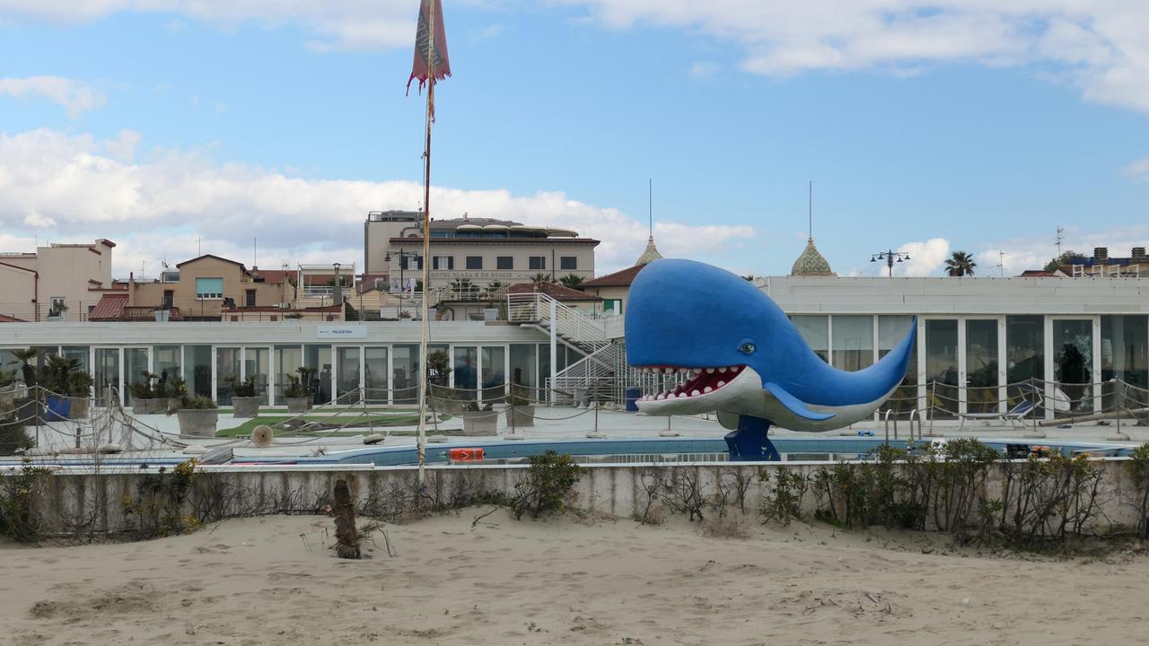 Viareggio, il bagno Balena riapre con una sola piscina, il ristorante ma non la palestra: nuova gestione dopo la vendita all’asta