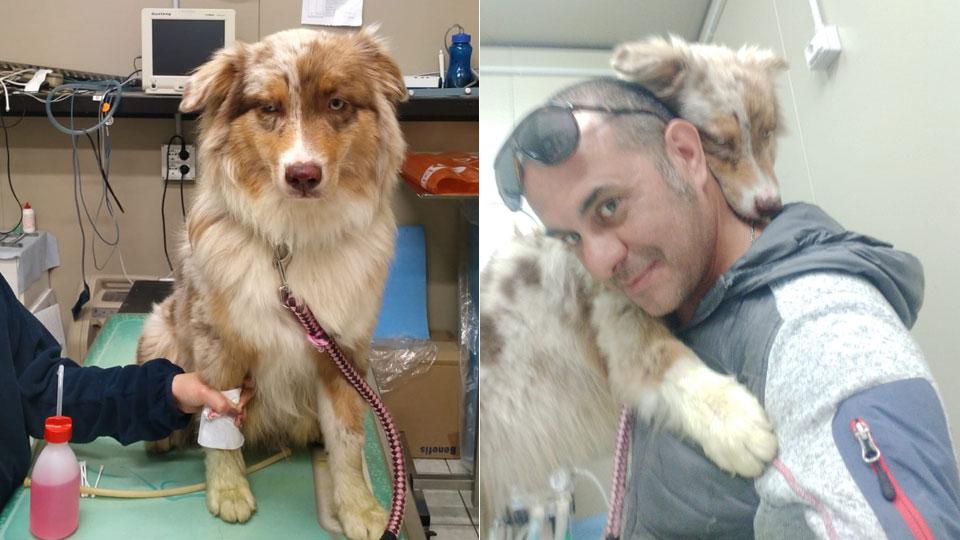 «Hanno avvelenato la mia Sasha. Anche lei è stata in via Brodolini»