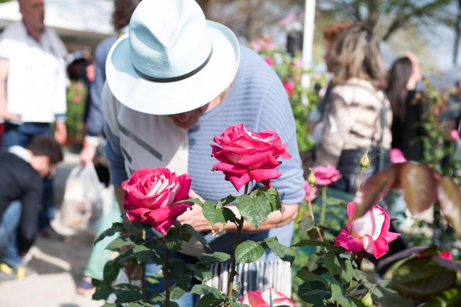 I colori della primavera in scena, torna la rassegna VerdeMura
