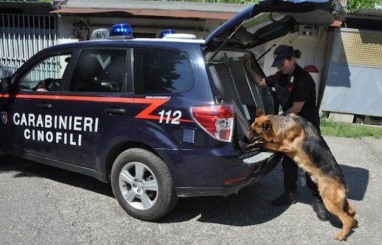 Una mail anonima annuncia una bomba a scuola. Evacuate le sedi di due istituti americani di Firenze e Bagno a Ripoli