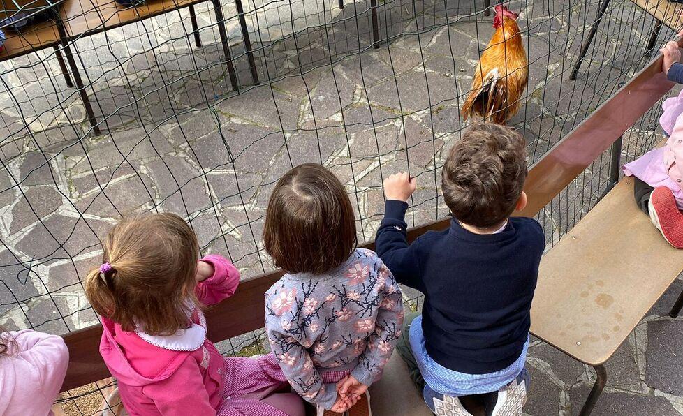 Formigine Festa alla materna con il gallo Pedro 