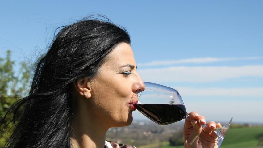 Vinitaly, i modenesi pronti per un ruolo da protagonisti - Ecco chi ci sarà