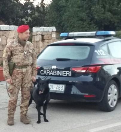 Spaccio di droga nelle province di Nuoro e Sassari: 7 misure cautelari