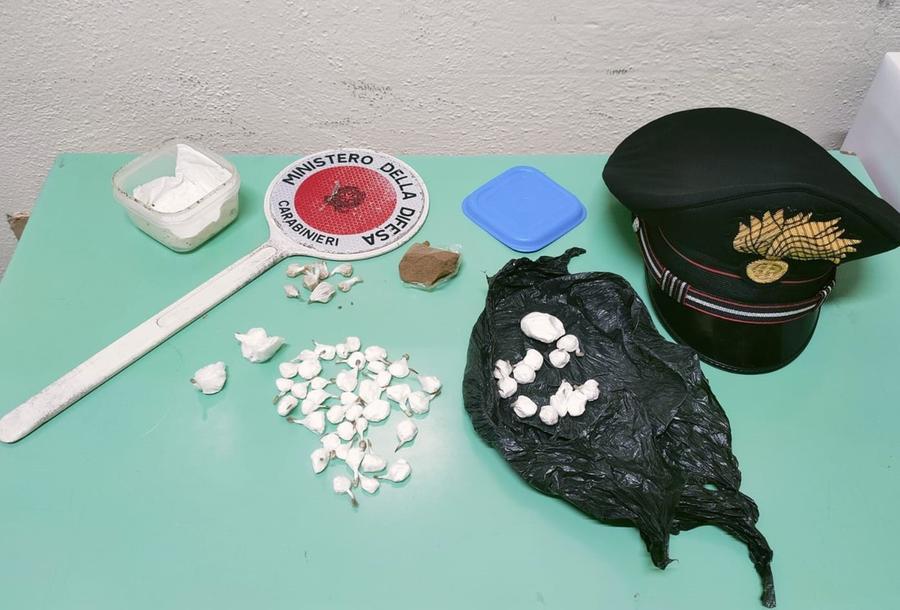 Grosseto: hashish, cocaina ed eroina nascosti in un cespuglio