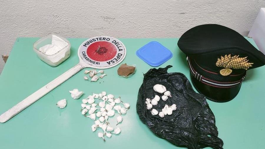Grosseto: hashish, cocaina ed eroina nascosti in un cespuglio