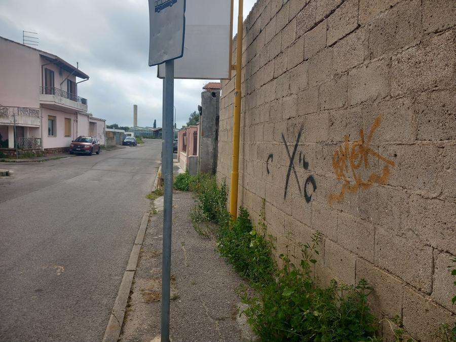 
	Erbe infestanti su un marciapiede

