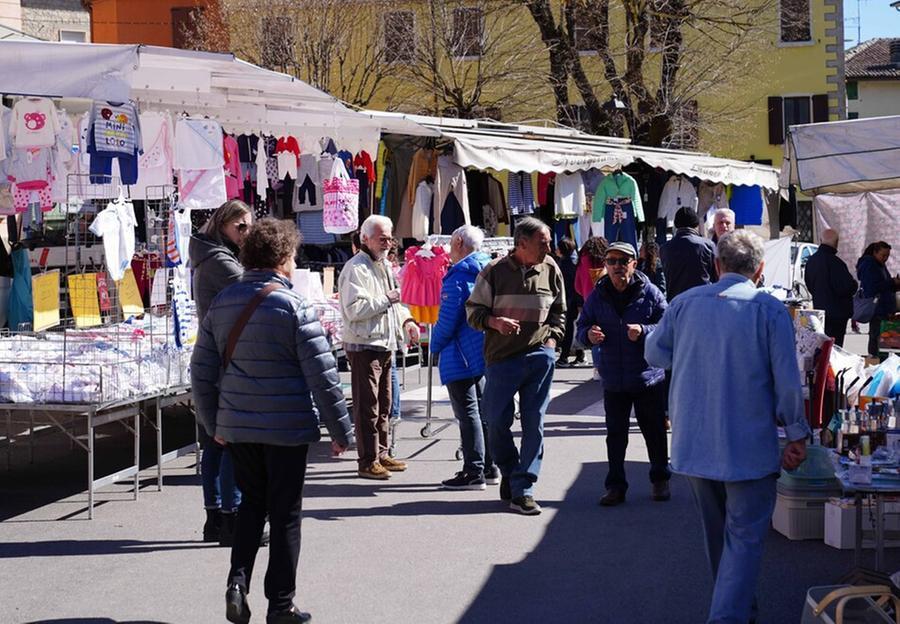 Indagine sul Comune Sgomento a Casina: «Stupiti e preoccupati»