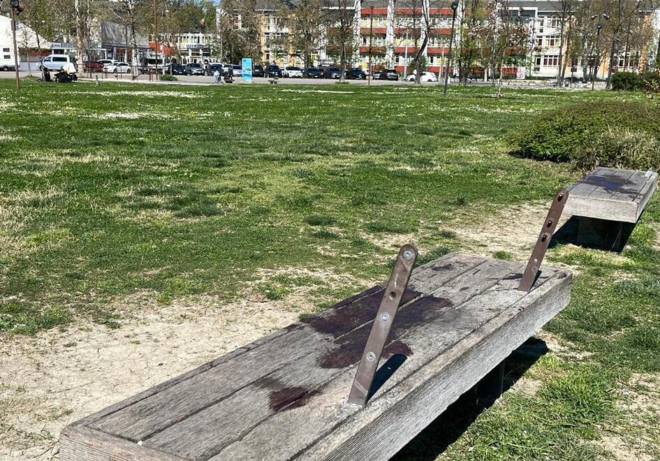 Modena, omicidio al Novi Sad Gli studenti increduli «Lo hanno ucciso proprio qui davanti...» 