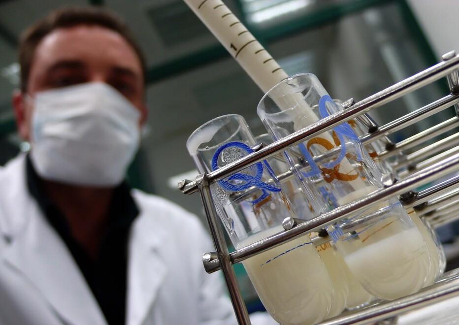 Parla l'esperto: «In un ristorante in Costa crema innaffiata da arselle» 