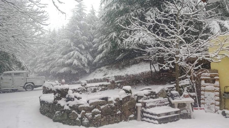 Primavera invernale, nevica sulle cime del Gennargentu