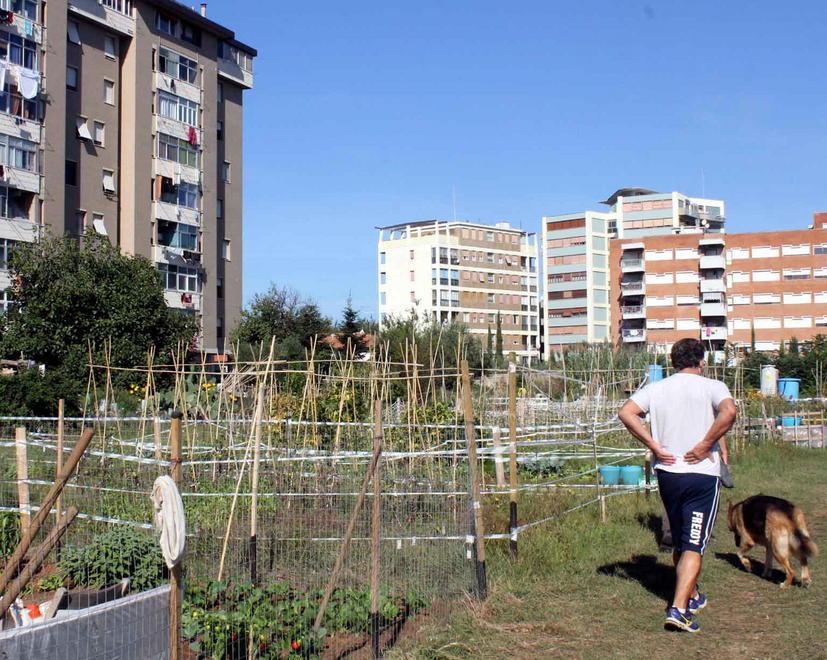 Orti urbani, si va verso la mediazione tra “custodi” e Clc 