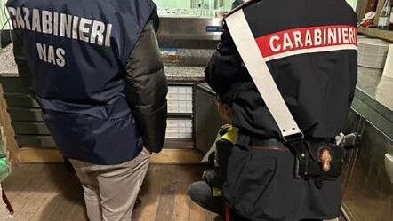 Elba, in una pizzeria e in un bar sequestrati oltre 375 chili di cibo scaduto o avariato