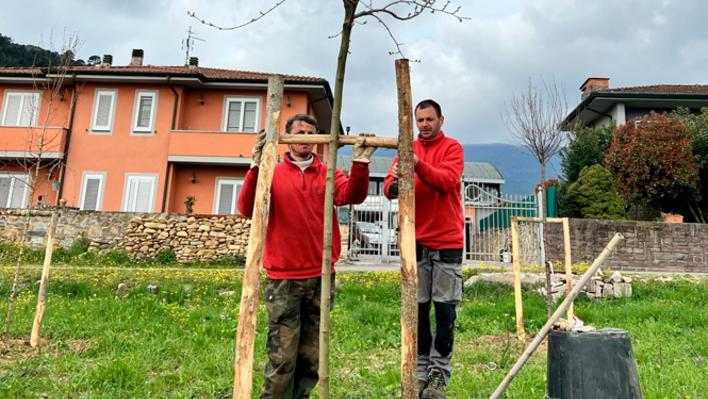 Buti, un albero per respirare meglio: messe a dimora 545 piante